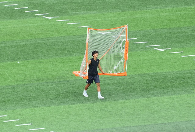努力和坚持