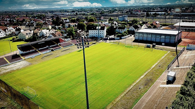 村内合作社 村内合作社