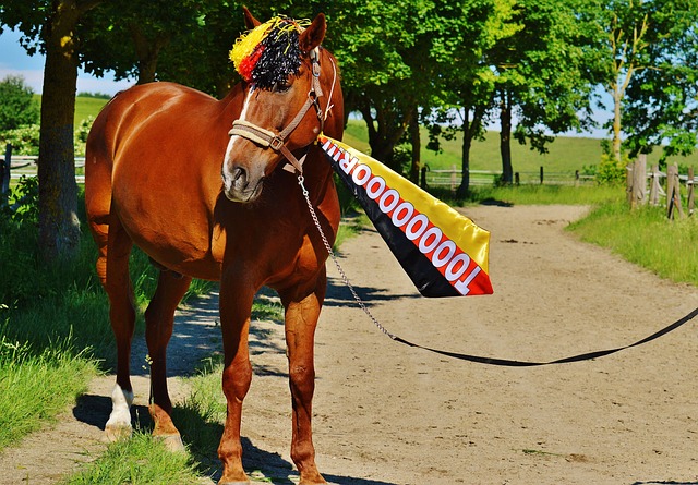 队的士气与 队的士气与
