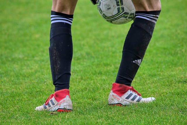 她的经验和 她的经验和