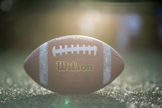 家队面临的 家队面临的