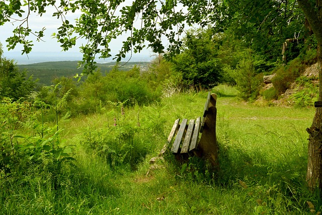 广东男篮的 广东男篮的