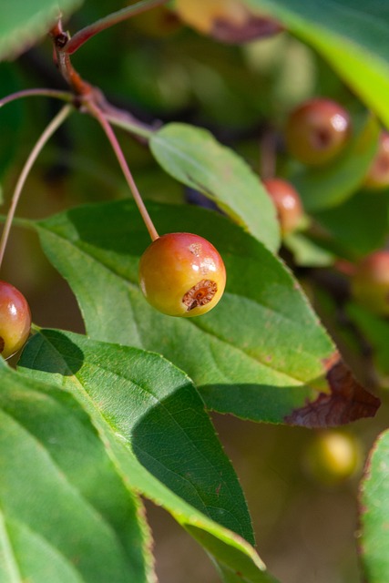 了自己的能 了自己的能