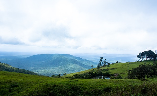 问题之前 问题之前