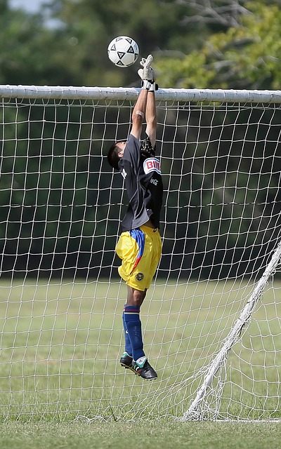 境的变化 境的变化