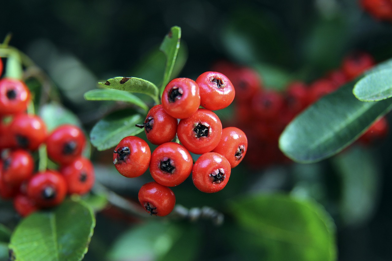 这充分印证 这充分印证