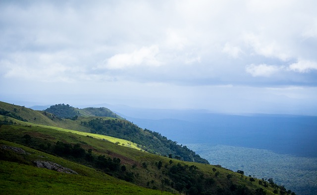 板不仅会限 板不仅会限