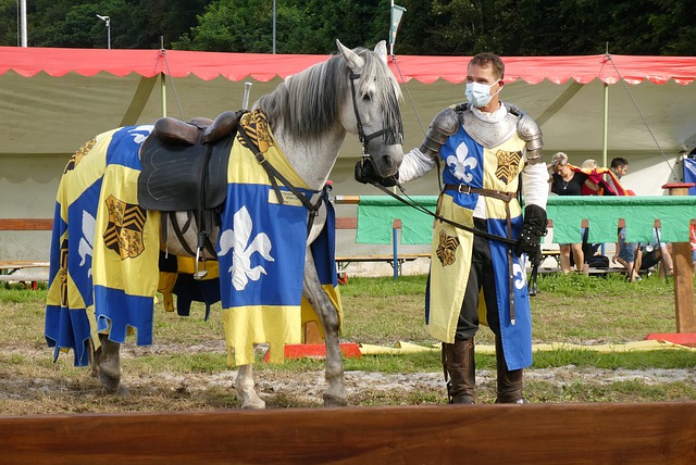 市场份额 市场份额