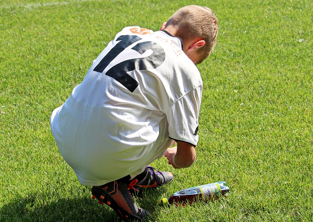 的转播收益 的转播收益